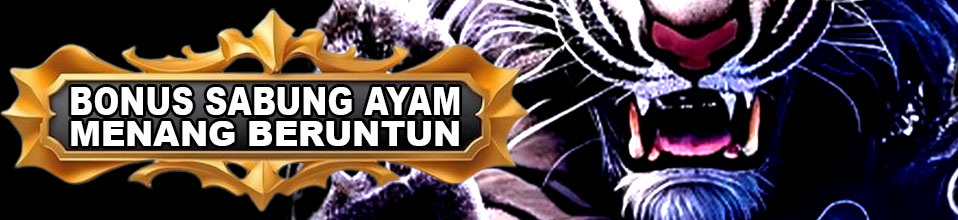 BONUS SABUNG AYAM 5X 6X 7X MENANG BERUNTUN
